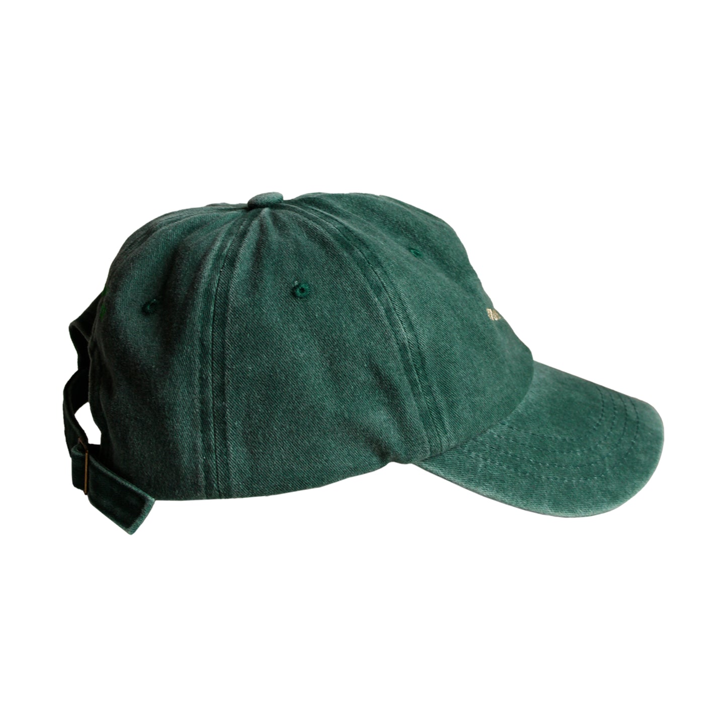 BeeKind Cap - Green