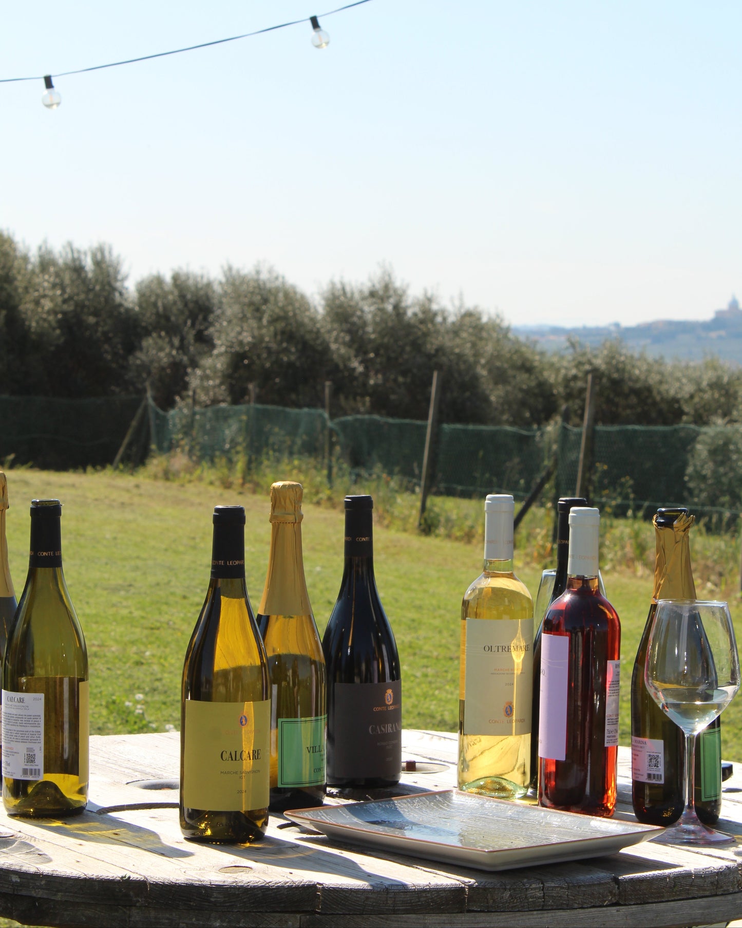 Calici & Tele - Pittura libera e degustazione in cantina